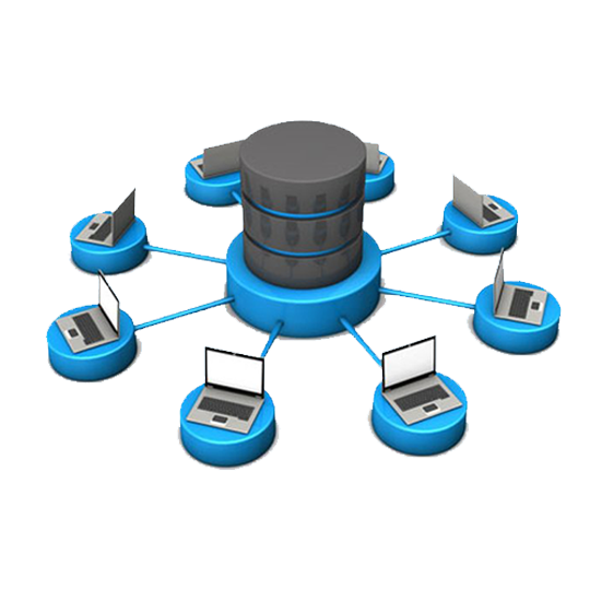 Relational Database Management Software Services in Delhi