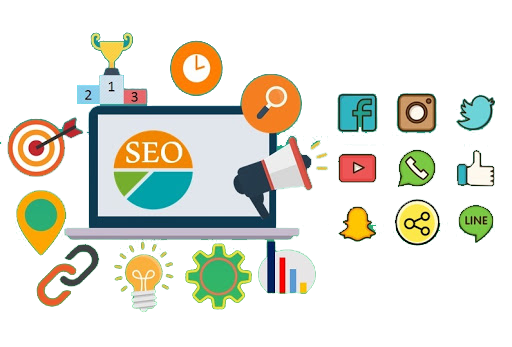 Best SEO Company in Noida, U.P