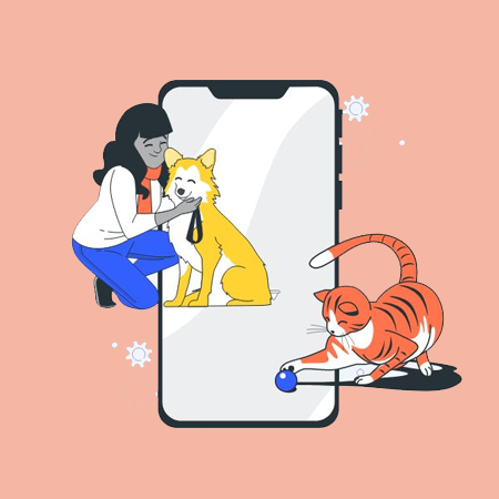 Pet Care App Development