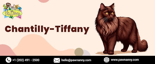 Pet Nail Trimming Services Pet Nail Trimming Services