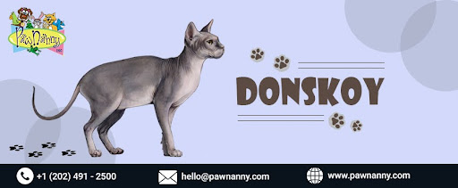 Overnight Pet house sitting service Fairfax Pet House Sitting Services