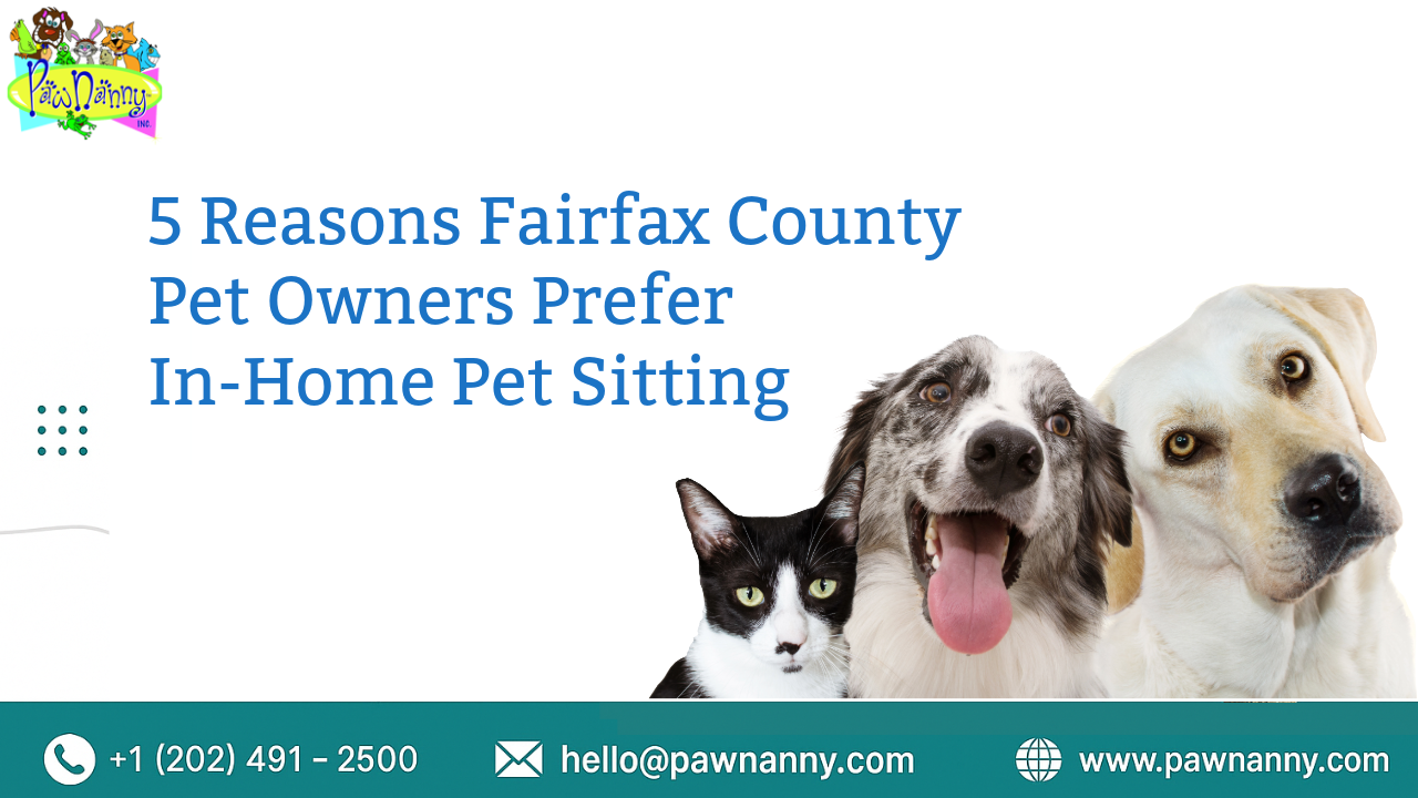 In-home Pet Sitting Fairfax County In-home Pet Sitting Fairfax