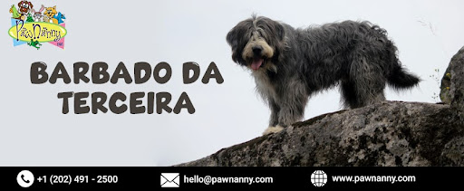 Barbado Da Terceira