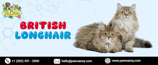 Pet House Sitting Services Pet House Sitting Services in Fairfax VA