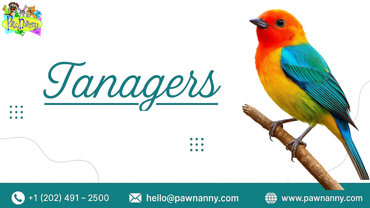 Pet Overnight Stays Services Pet Overnight Stays Services in Fairfax